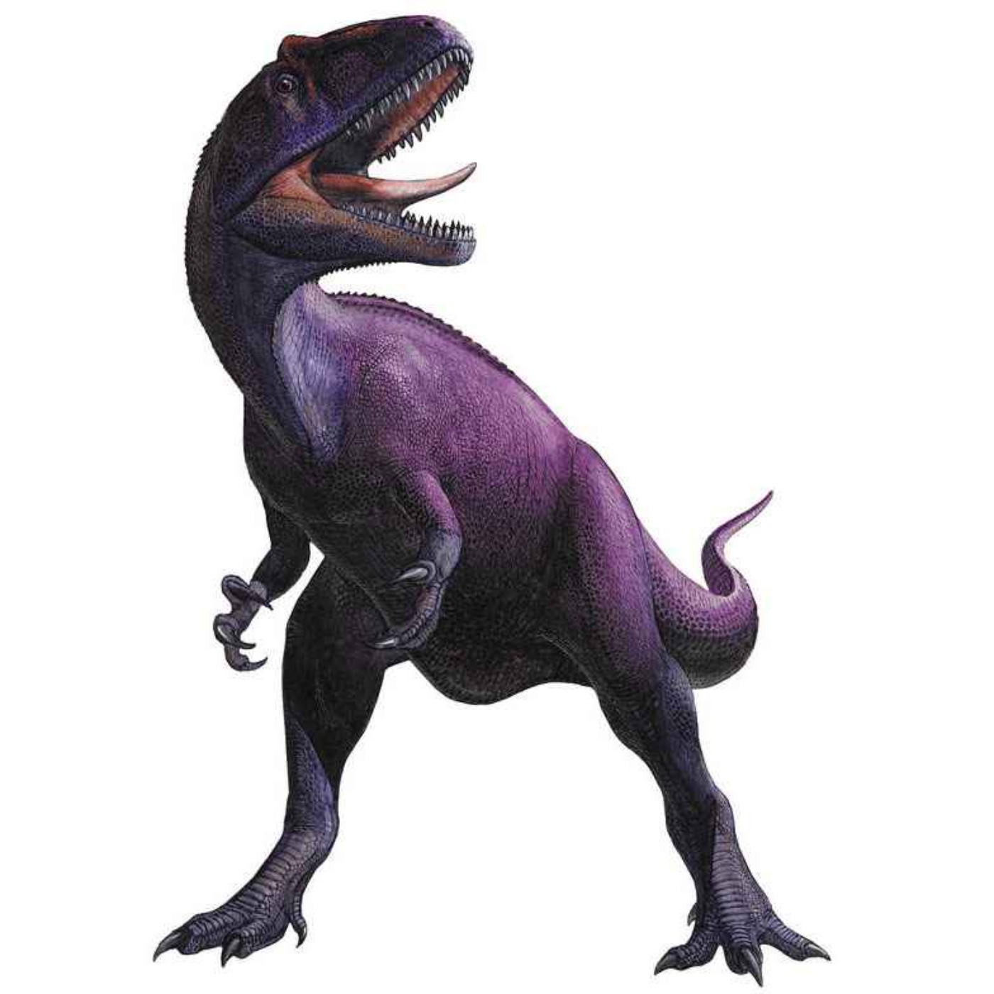 Saurophaganax, the King of the Lizard Eaters