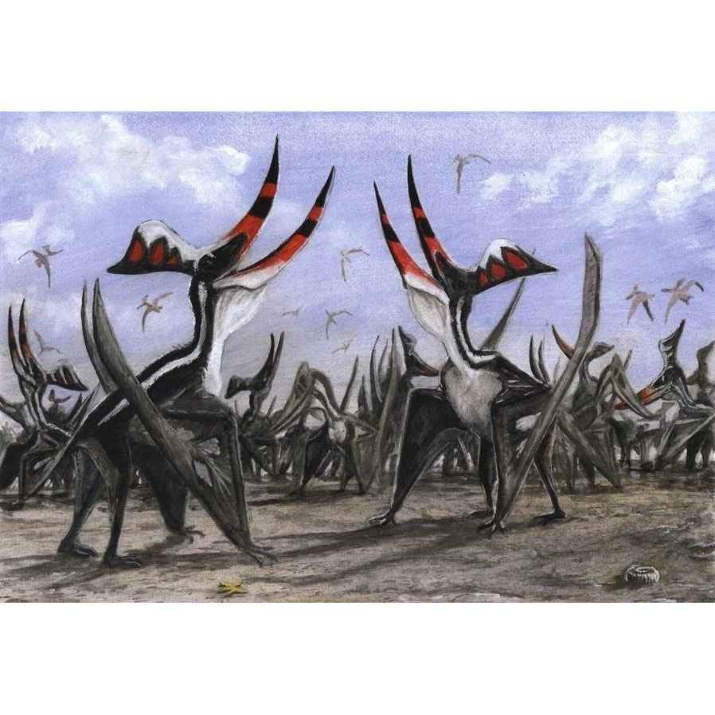 Paleo Bites