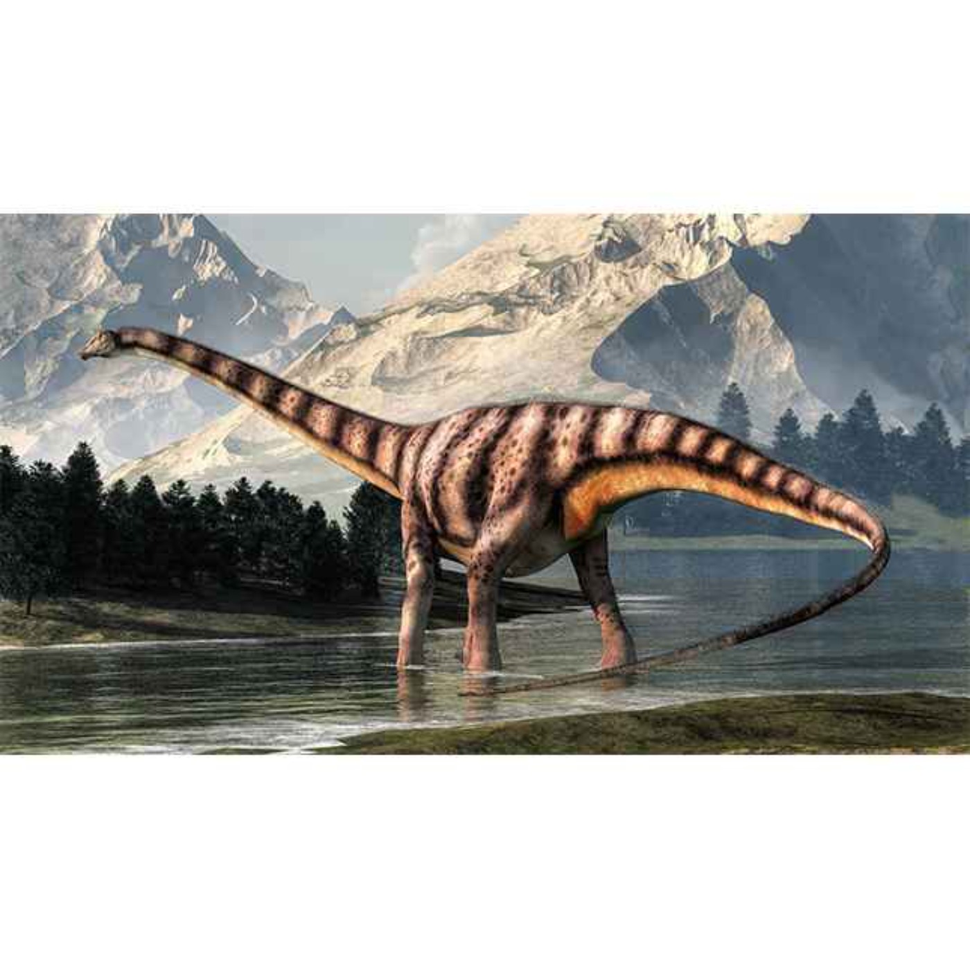 Paleo Bites