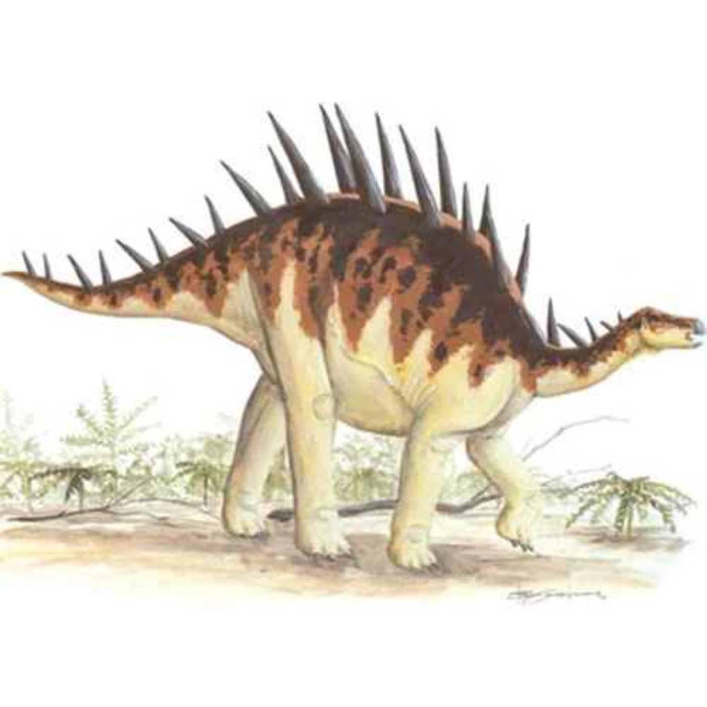 Dacentrurus, the One with the Tail Full of Points
