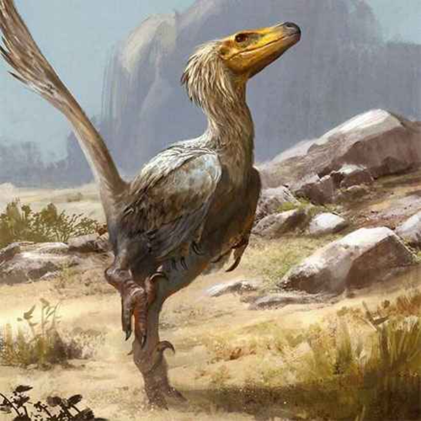 Paleo Bites
