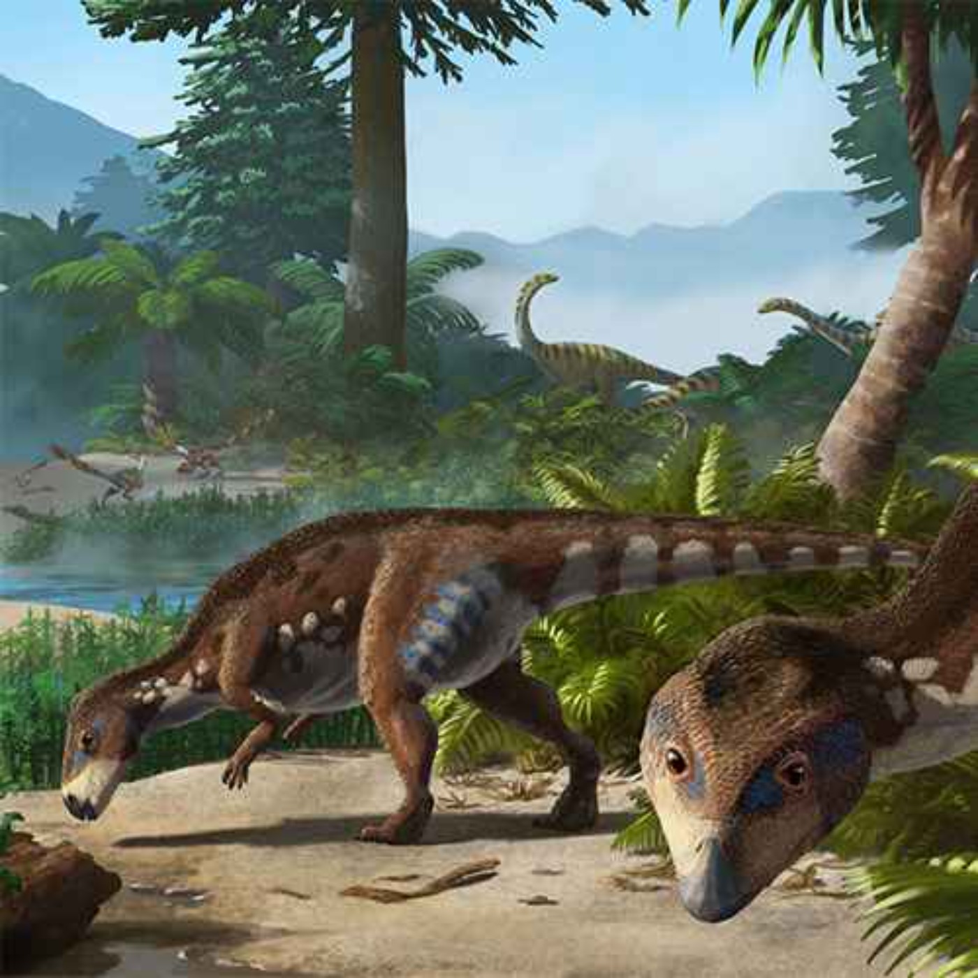 Transylvanosaurus, the Lizard from Across the Forest