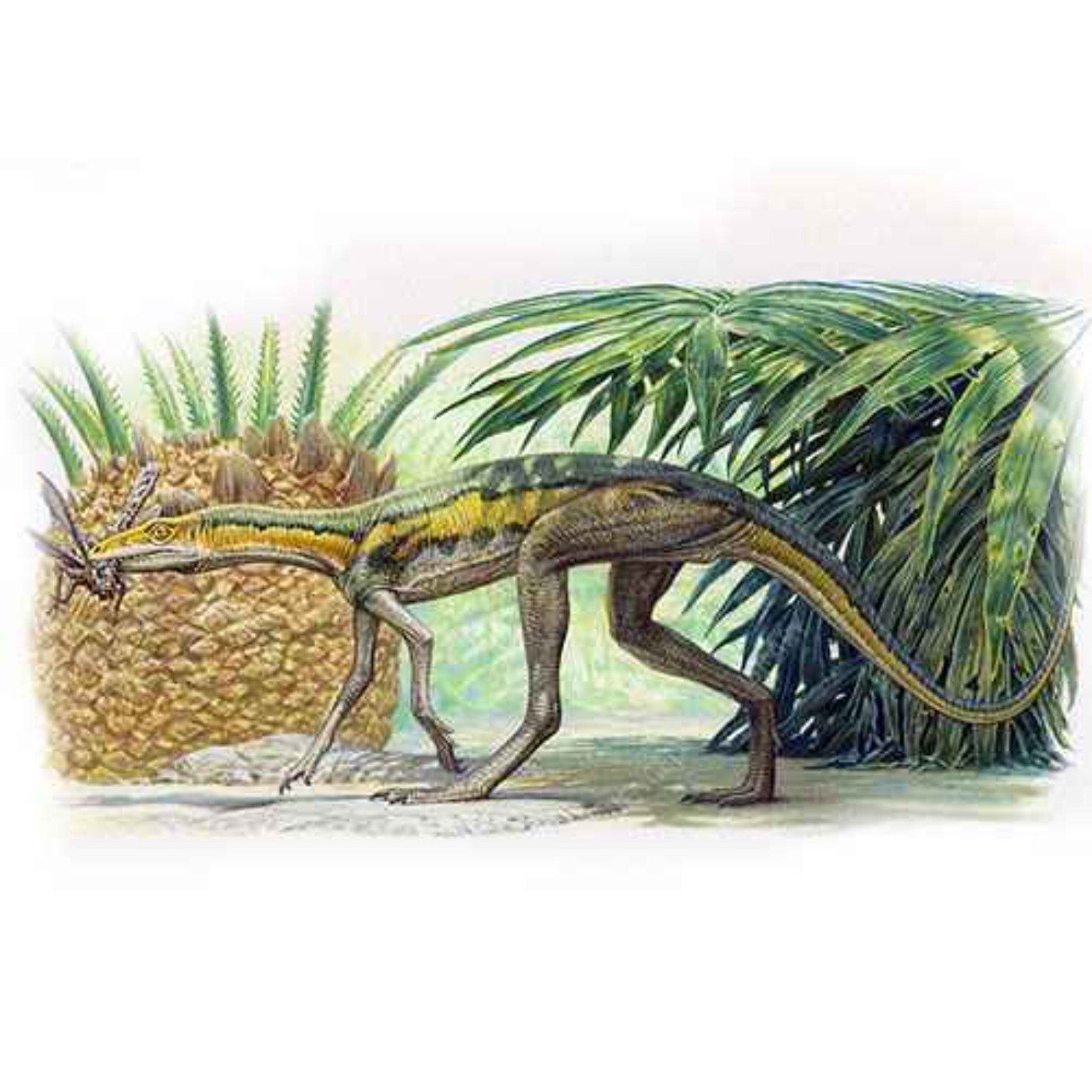 Lagosuchus, the Rabbit Crocodile