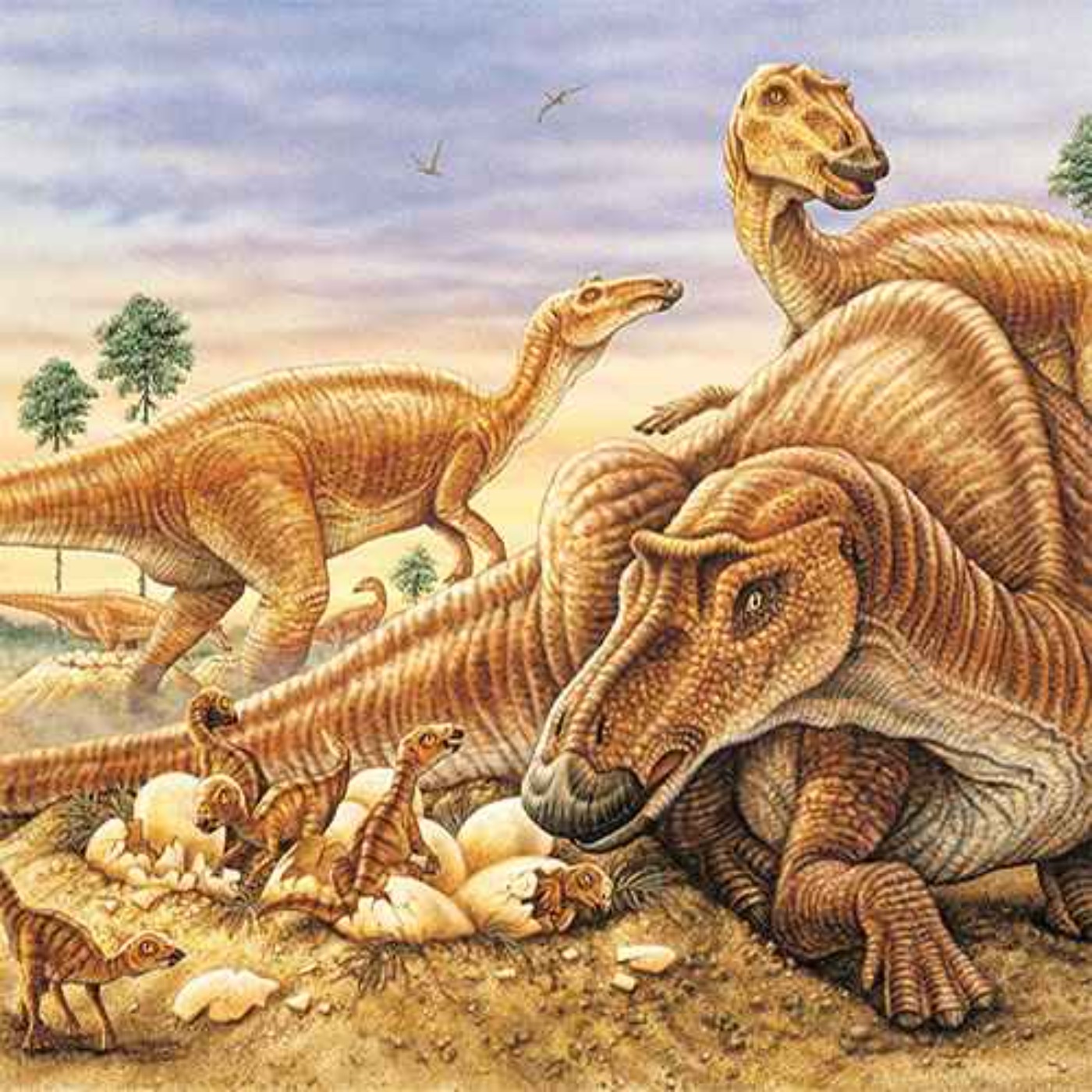 Paleo Bites