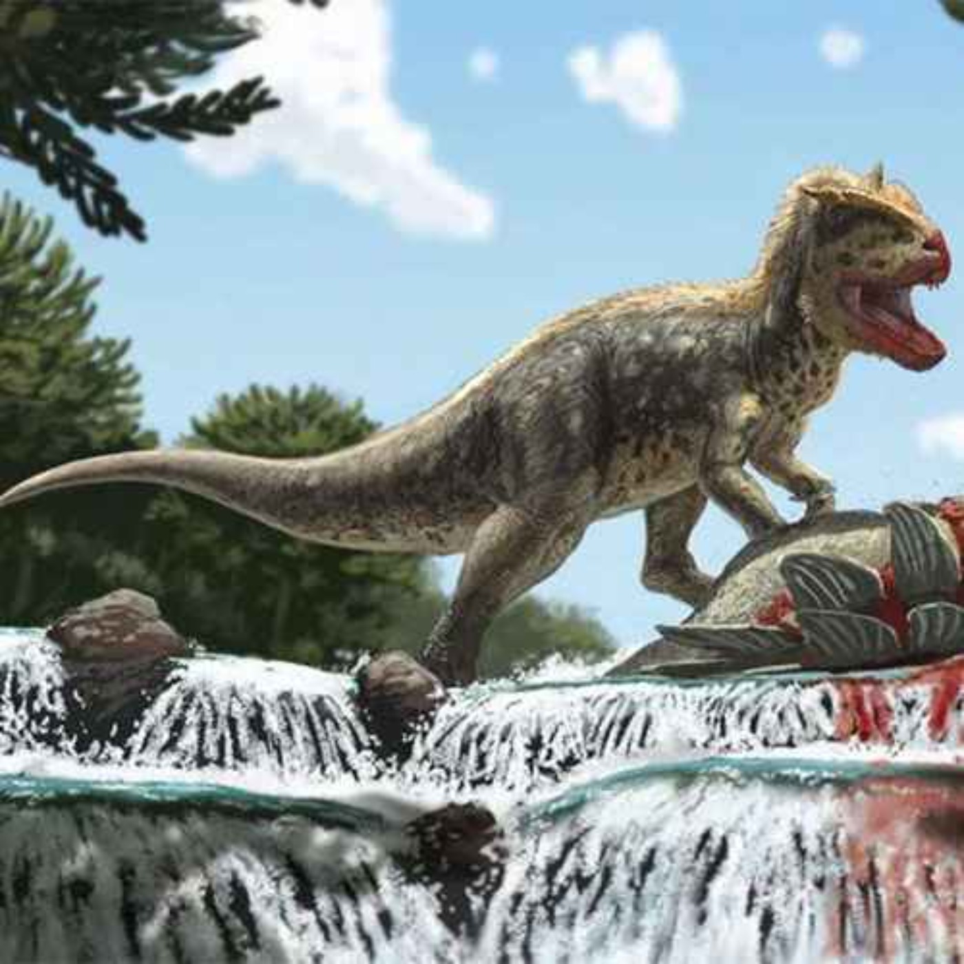 Paleo Bites