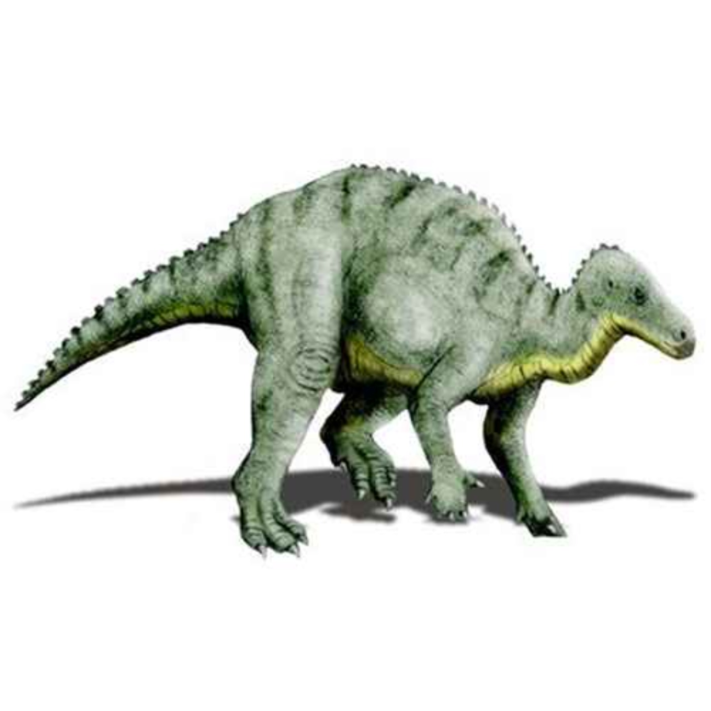 Hippodraco, the Horse Dragon
