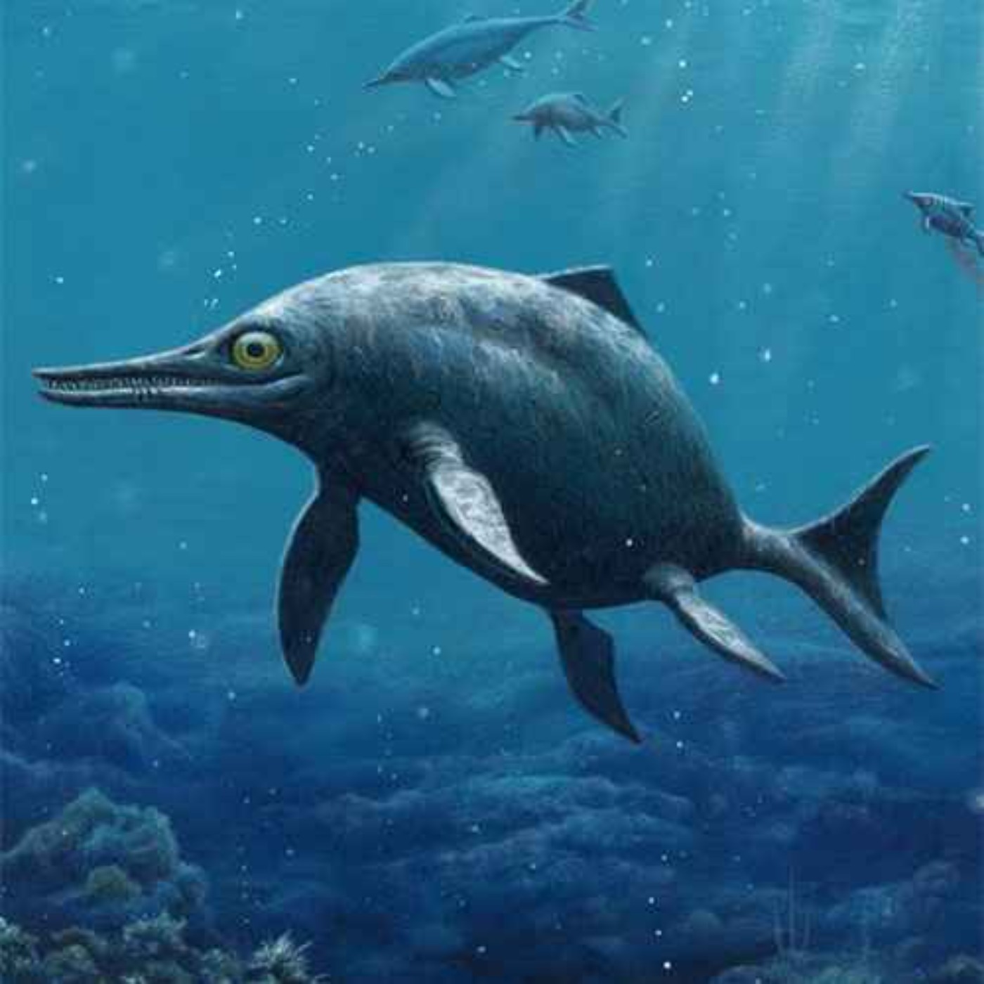 Temnodontosaurus, the Cutting-Tooth Lizard