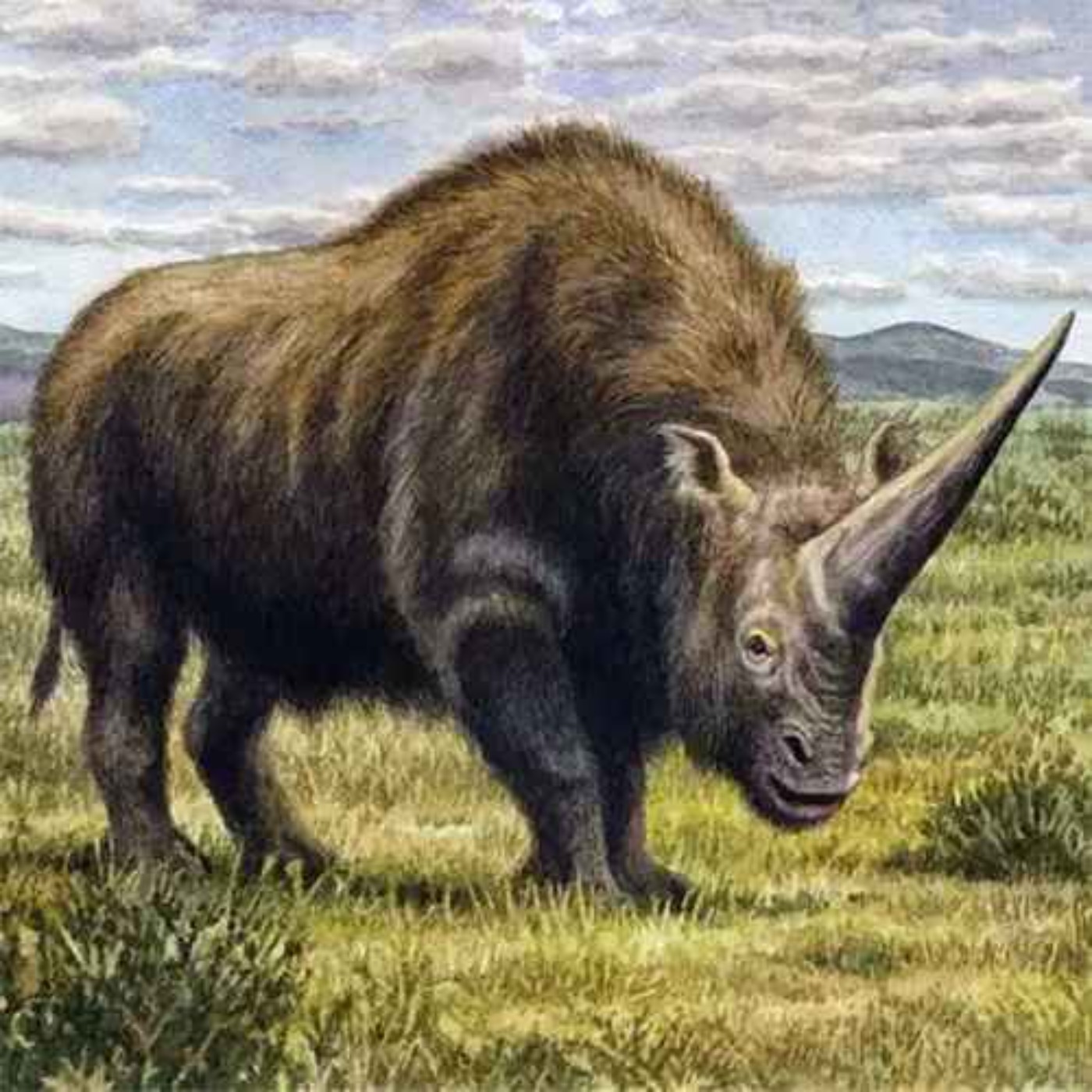 Elasmotherium, the Plated Beast