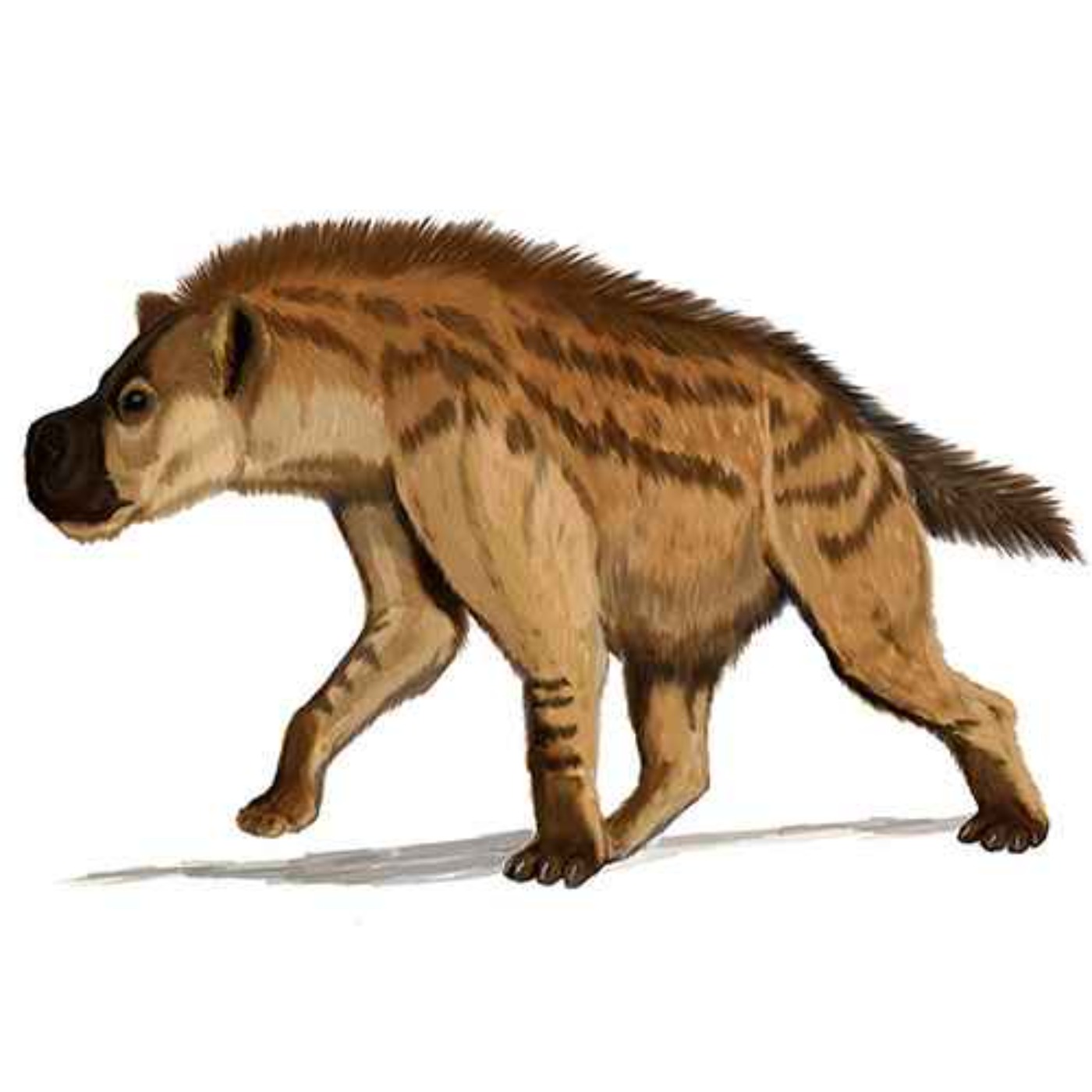 Dinocrocuta, the Terrible Hyena