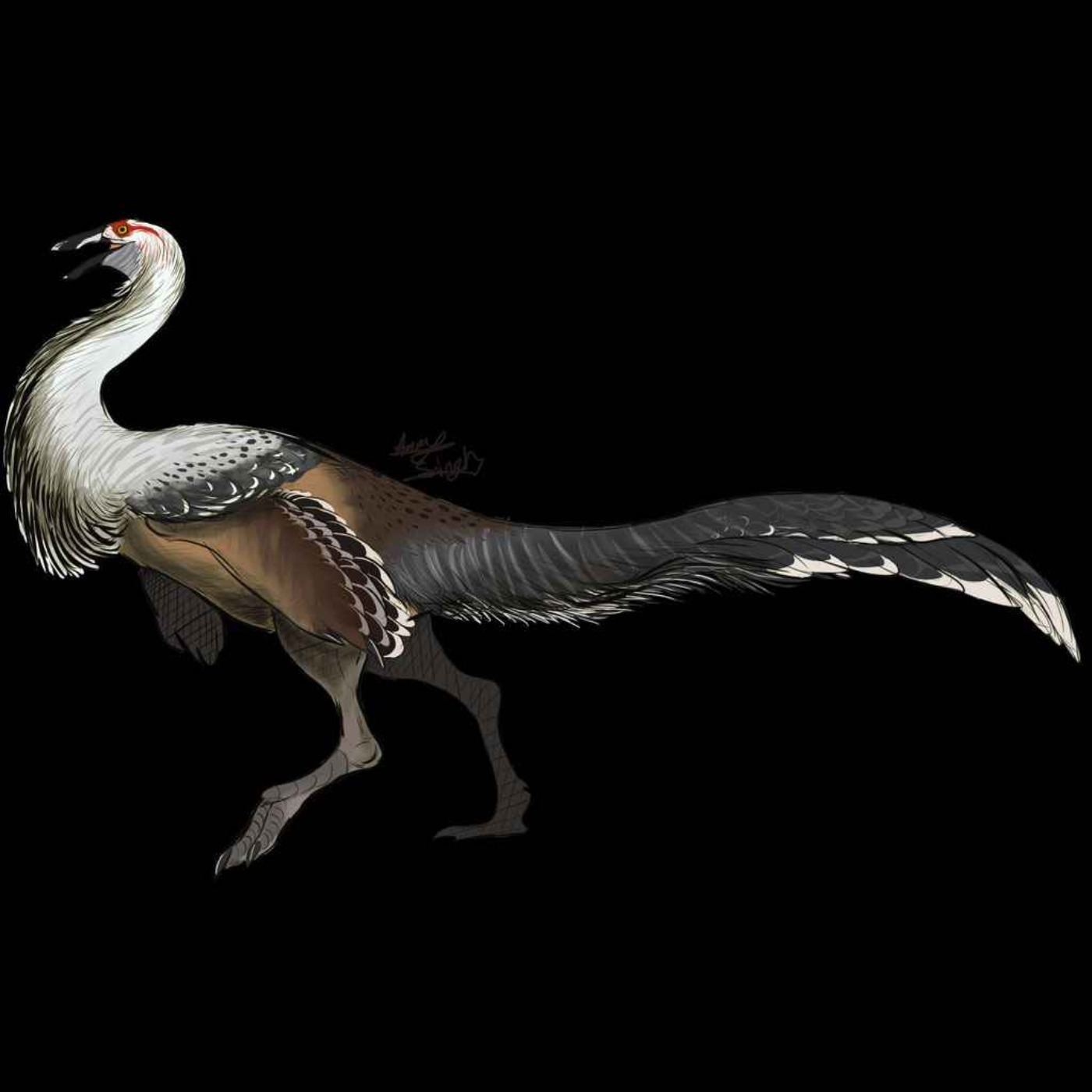 Gallimimus, the Chicken Mimic