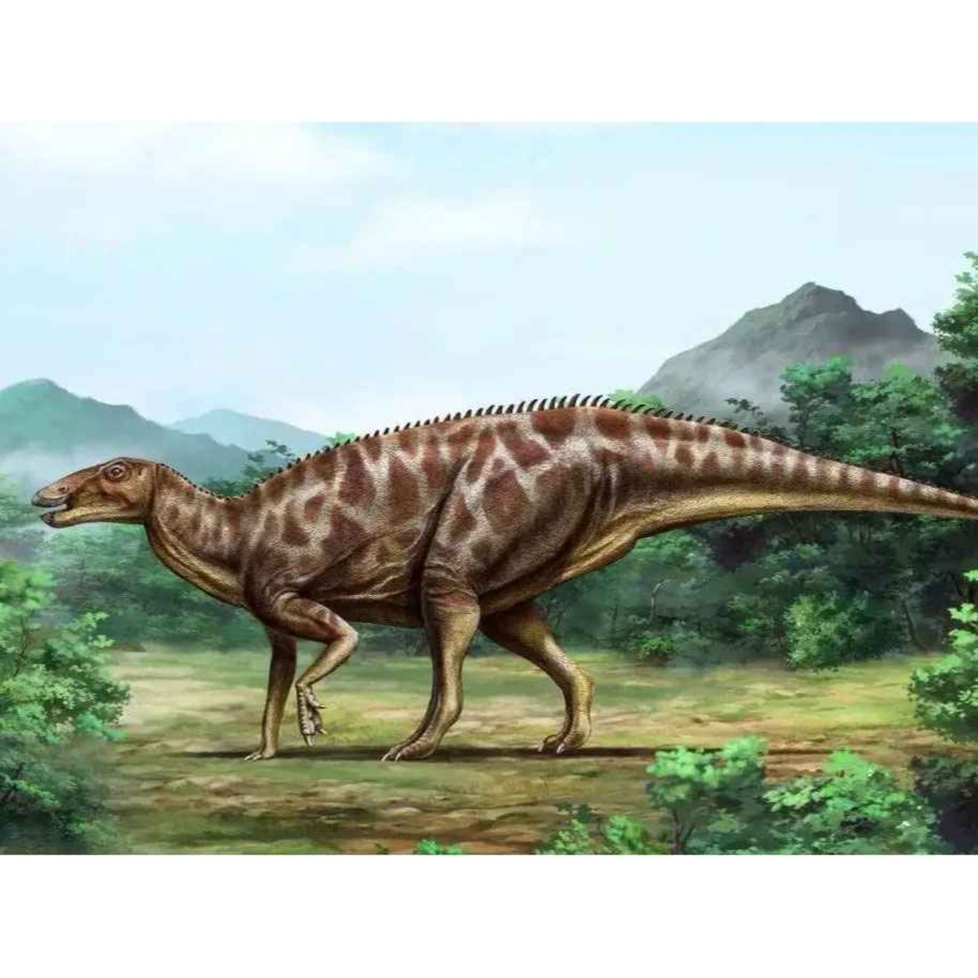 Shantungosaurus, the Lizard of the Shandong Province