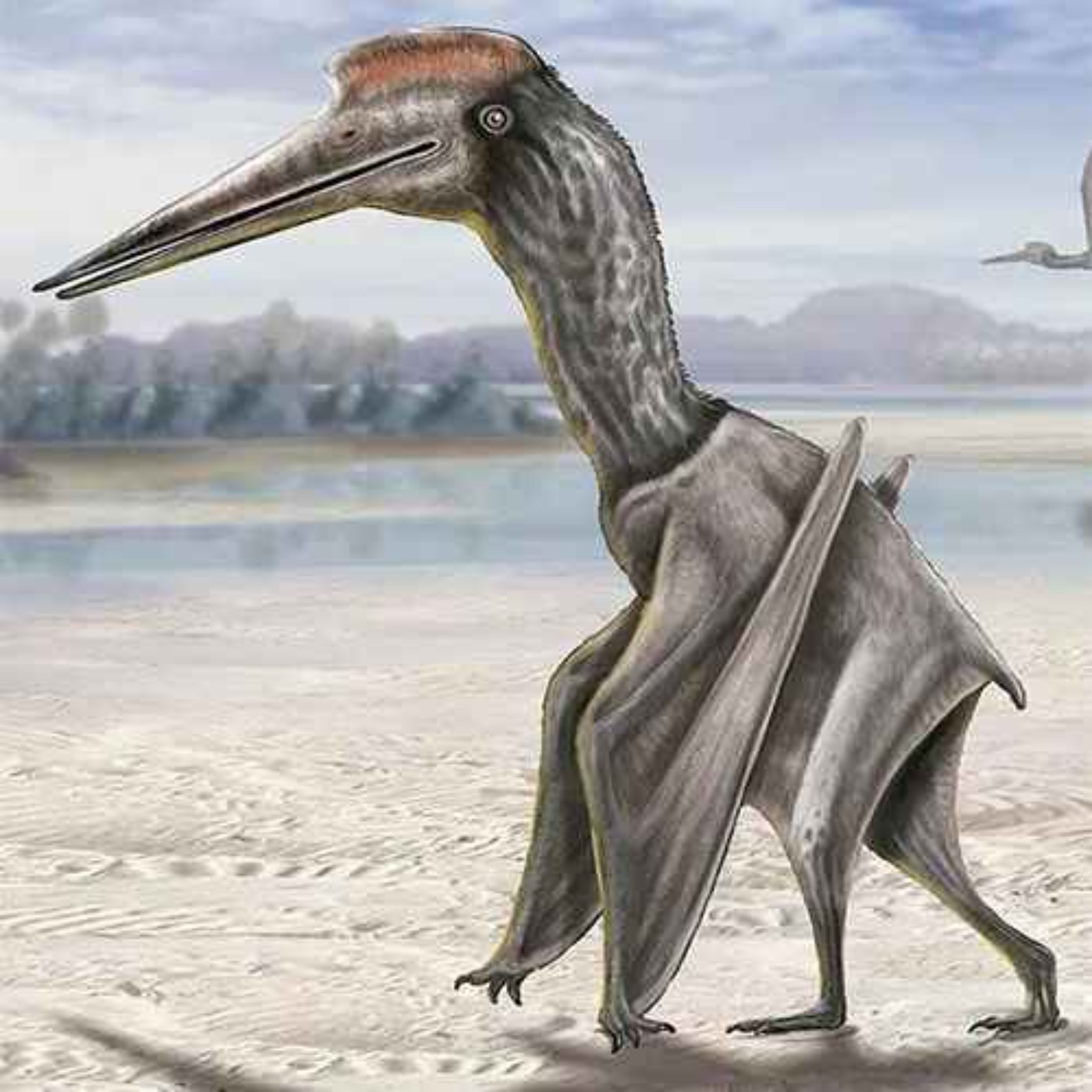 Thanatosdrakon, the Dragon of Death