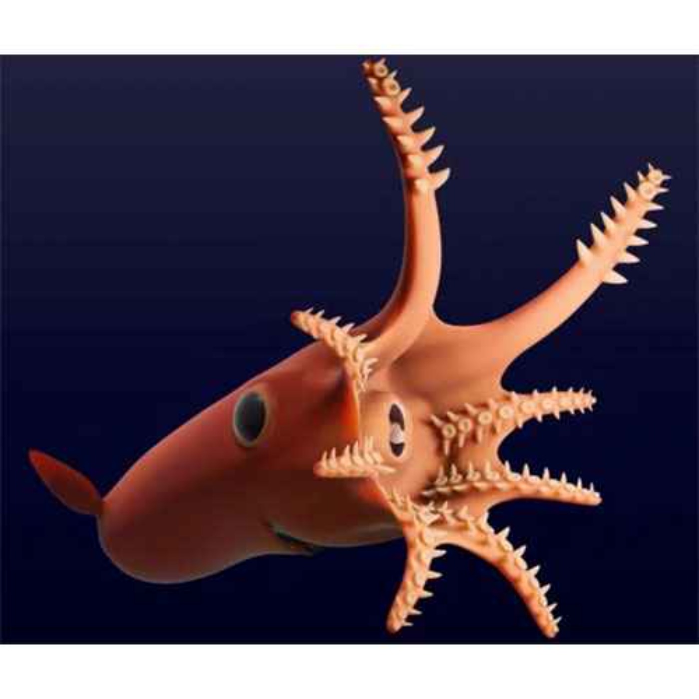 Vampyronassa, the Vampiric Fish Trap Vampyronassa, the Vampiric Fish Trap