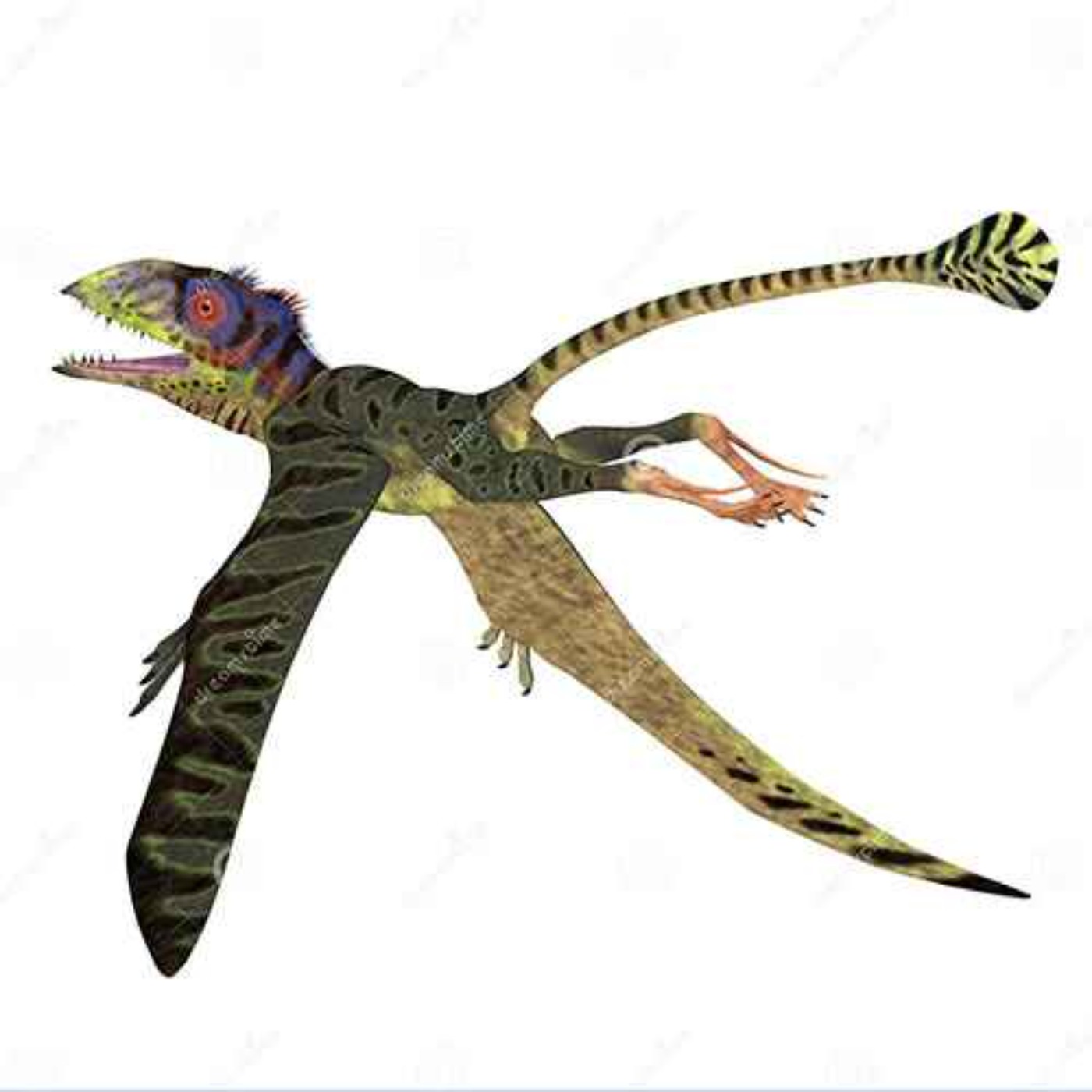 Peteinosaurus, the Winged Lizard