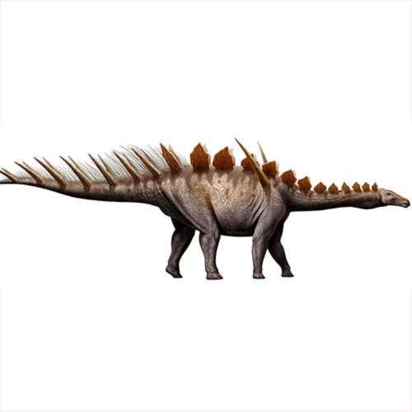 Miragaia, of the Earth Goddess