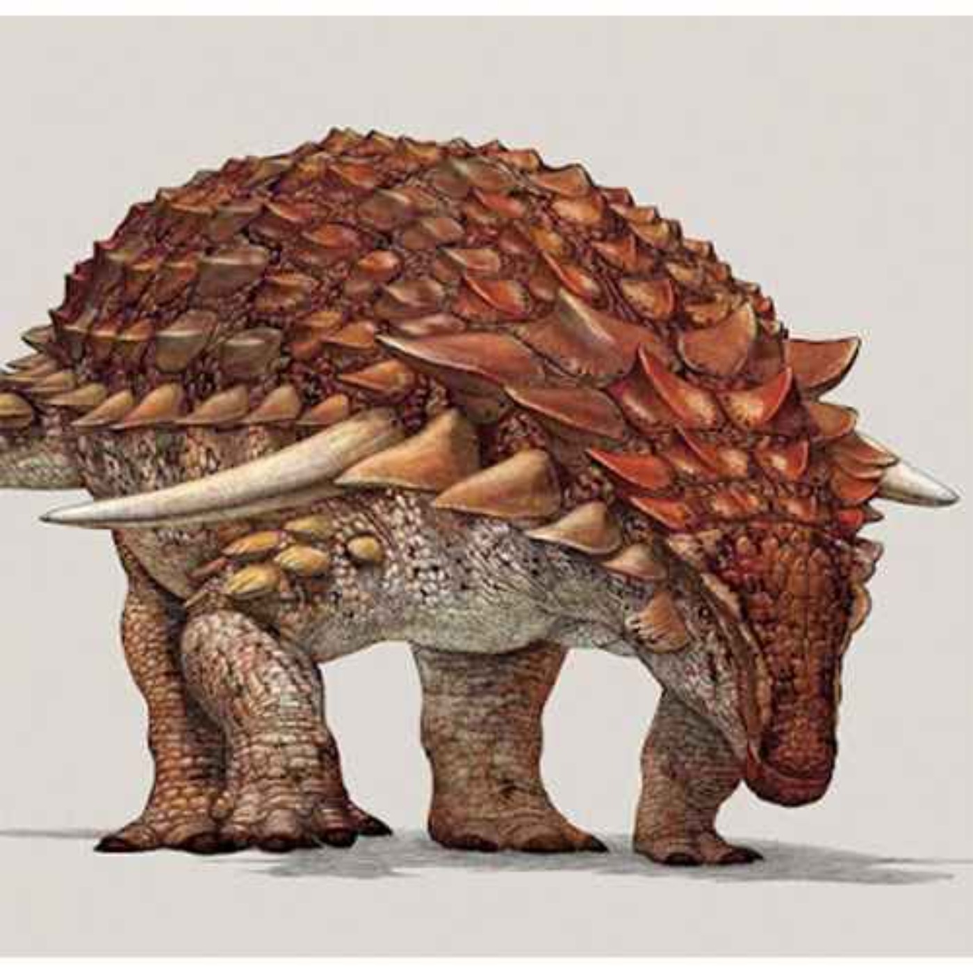 Borealopelta, the Northern Shield episode artwork
