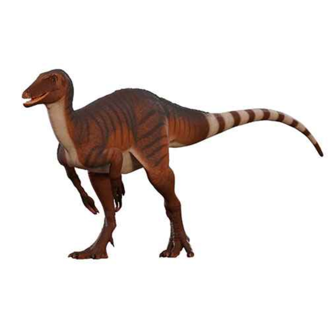 Orkoraptor, the Toothed River Thief Again