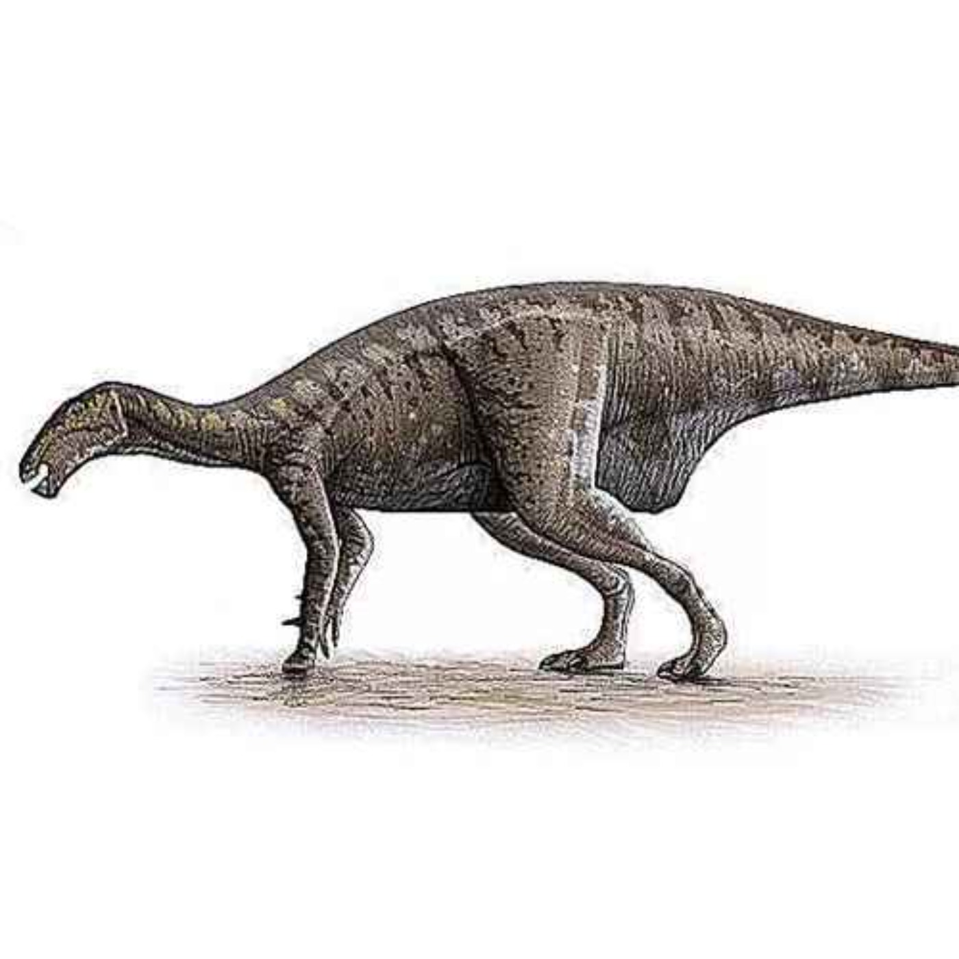 Proa, the Prow of Val de Arino Again