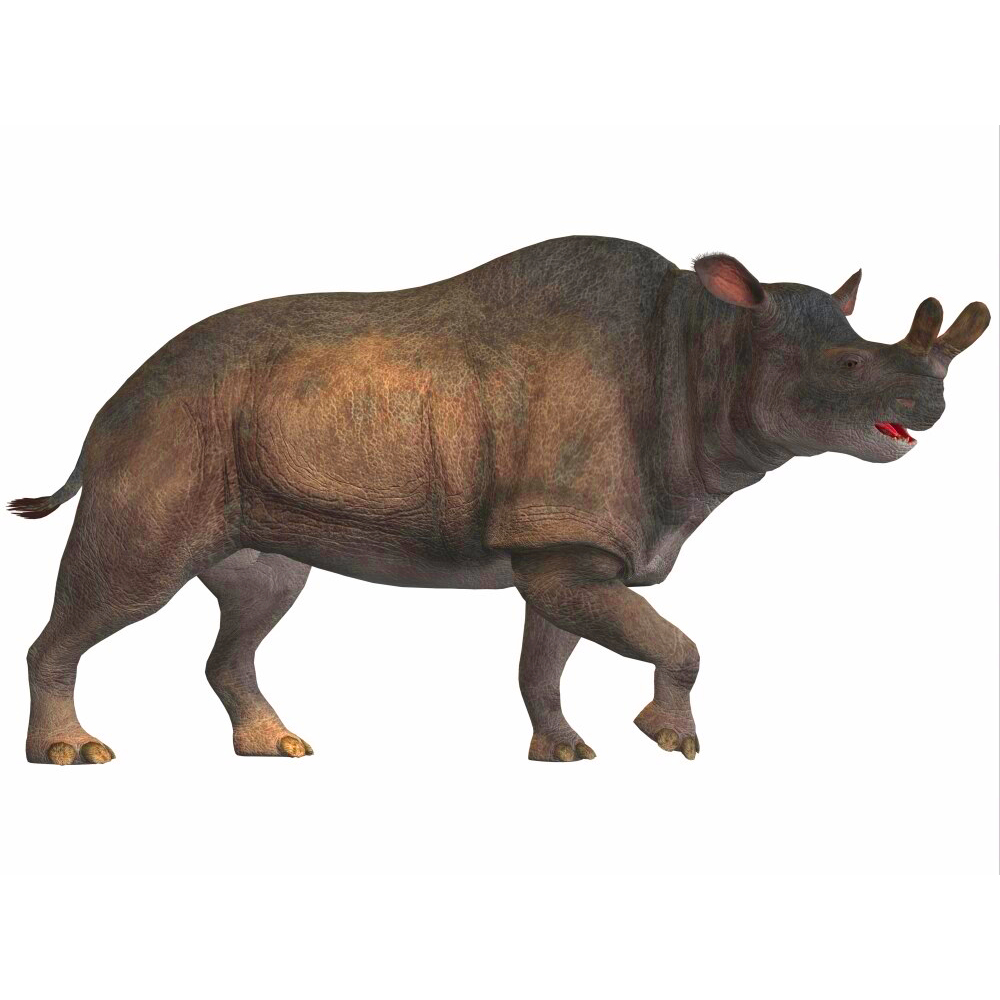 Brontotherium, the Thunder Beast