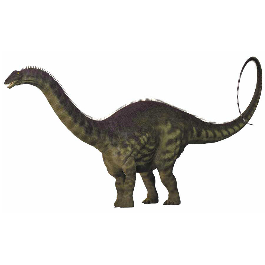 Brontosaurus, the Thunder Lizard