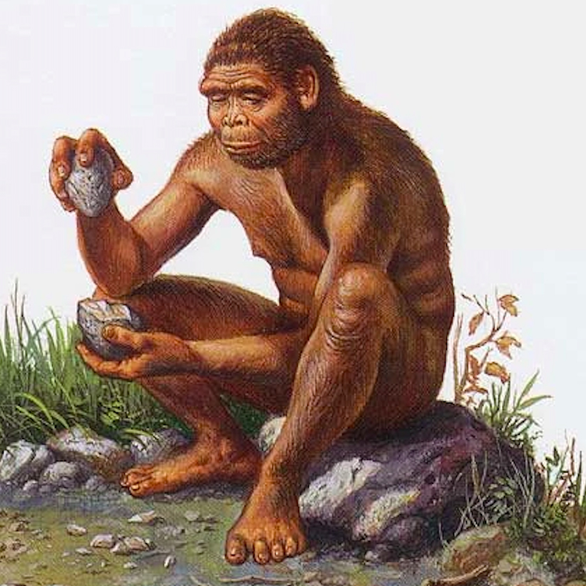 Homo erectus, the Upright Man