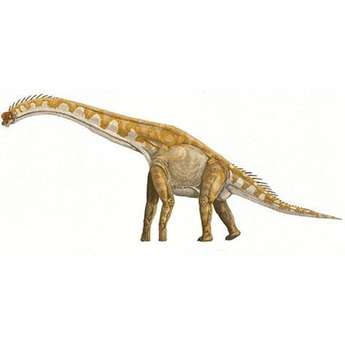 Giraffatitan, the Titanic Giraffe