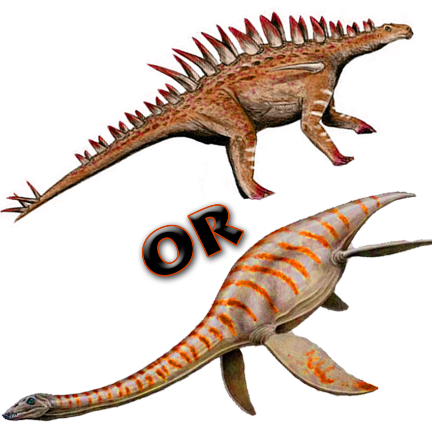 Paleo Bites