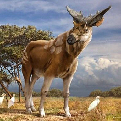 Sivatherium, the Beast of Shiva