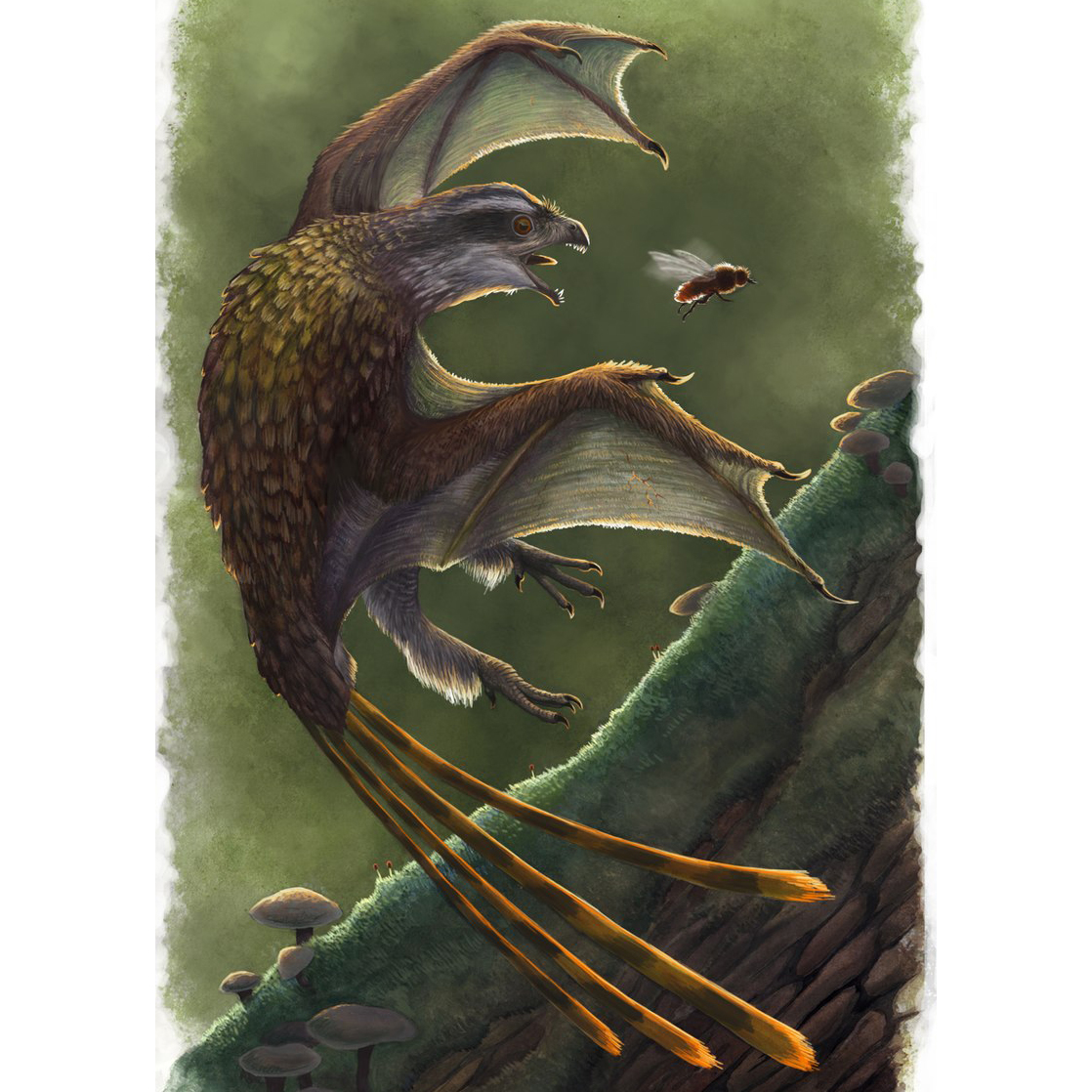 Yi, the Strange Wing