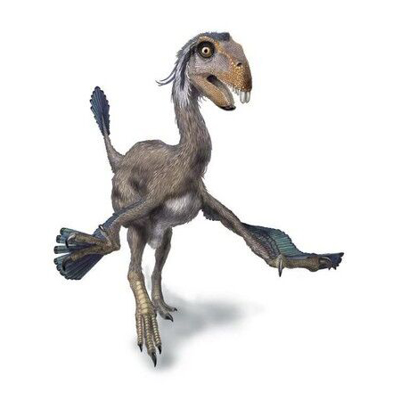 Incisivosaurus, the Incisor Lizard