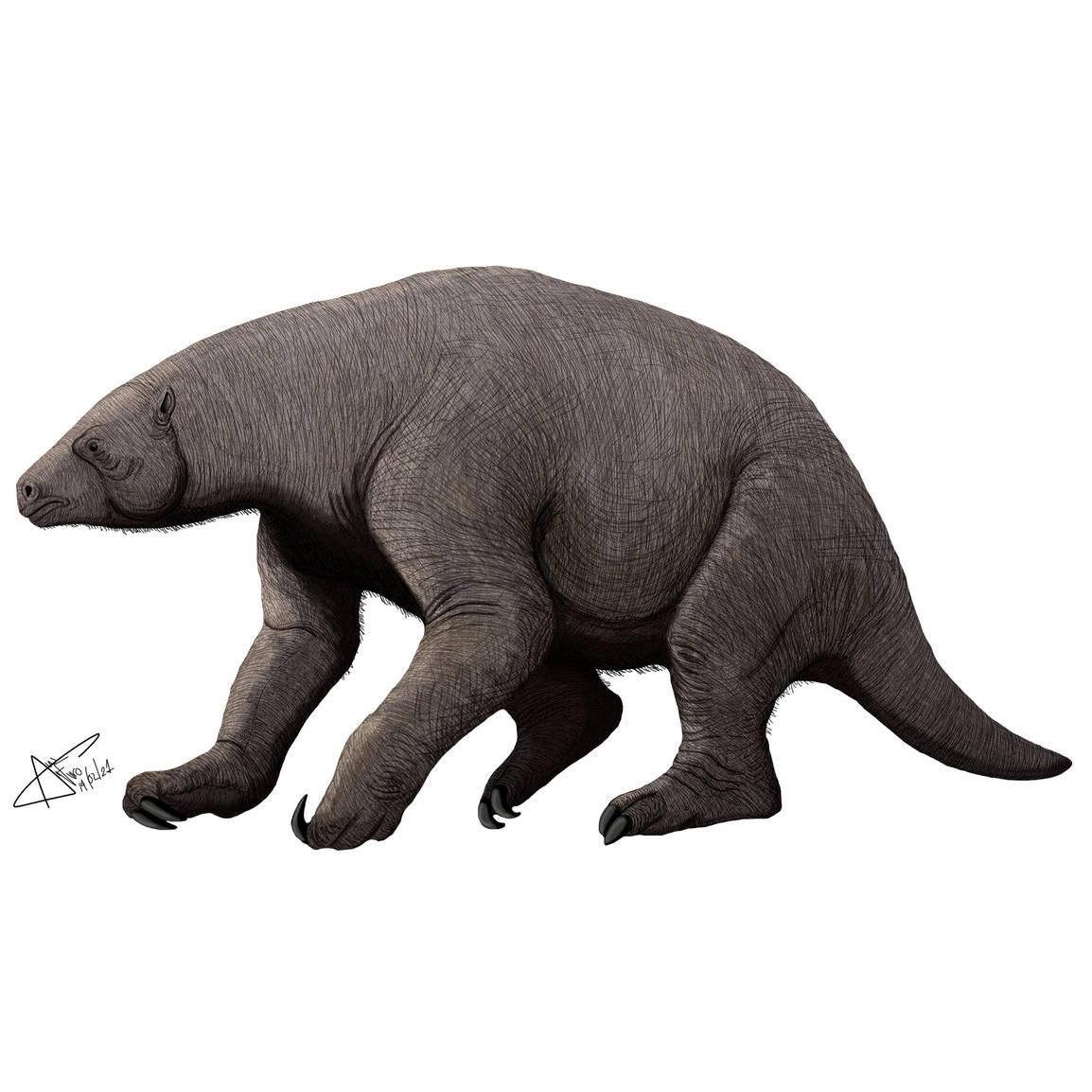 Eremotherium, the Solitary Beast