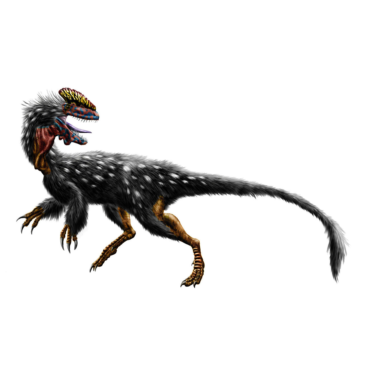 Paleo Bites