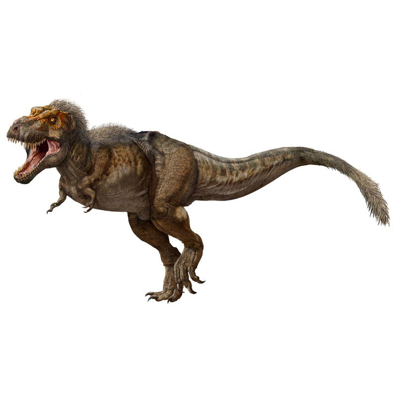 Tyrannosaurus rex, the Tyrant Lizard King