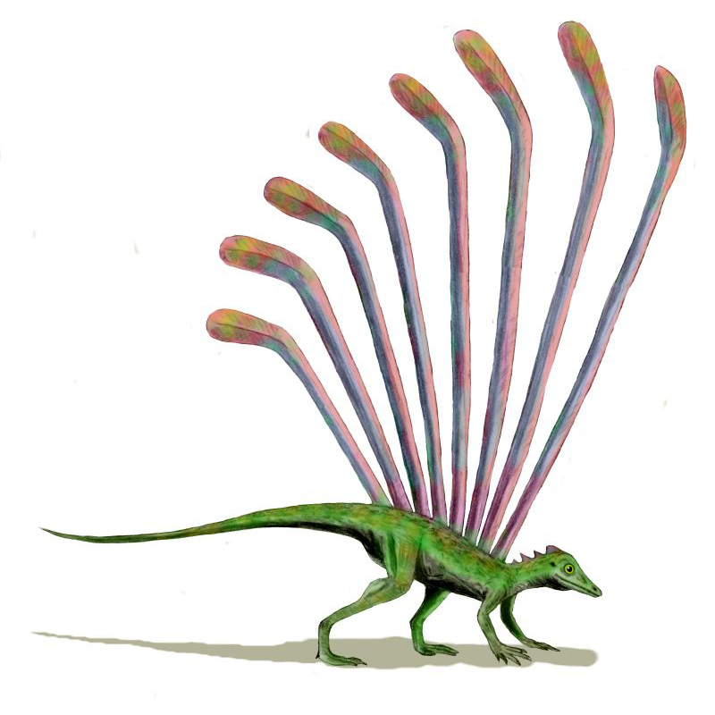 Paleo Bites
