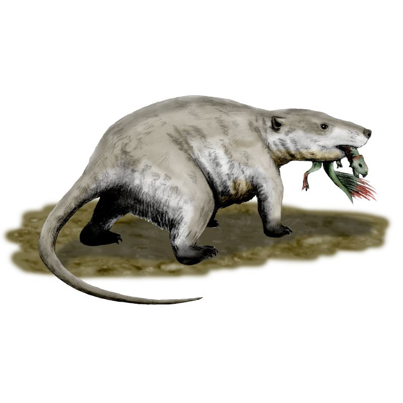 Repenomamus, the Reptilian Mammal