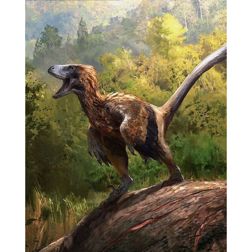 Paleo Bites