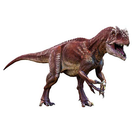 Paleo Bites