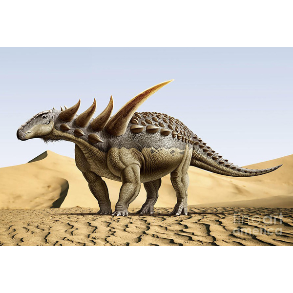 Paleo Bites