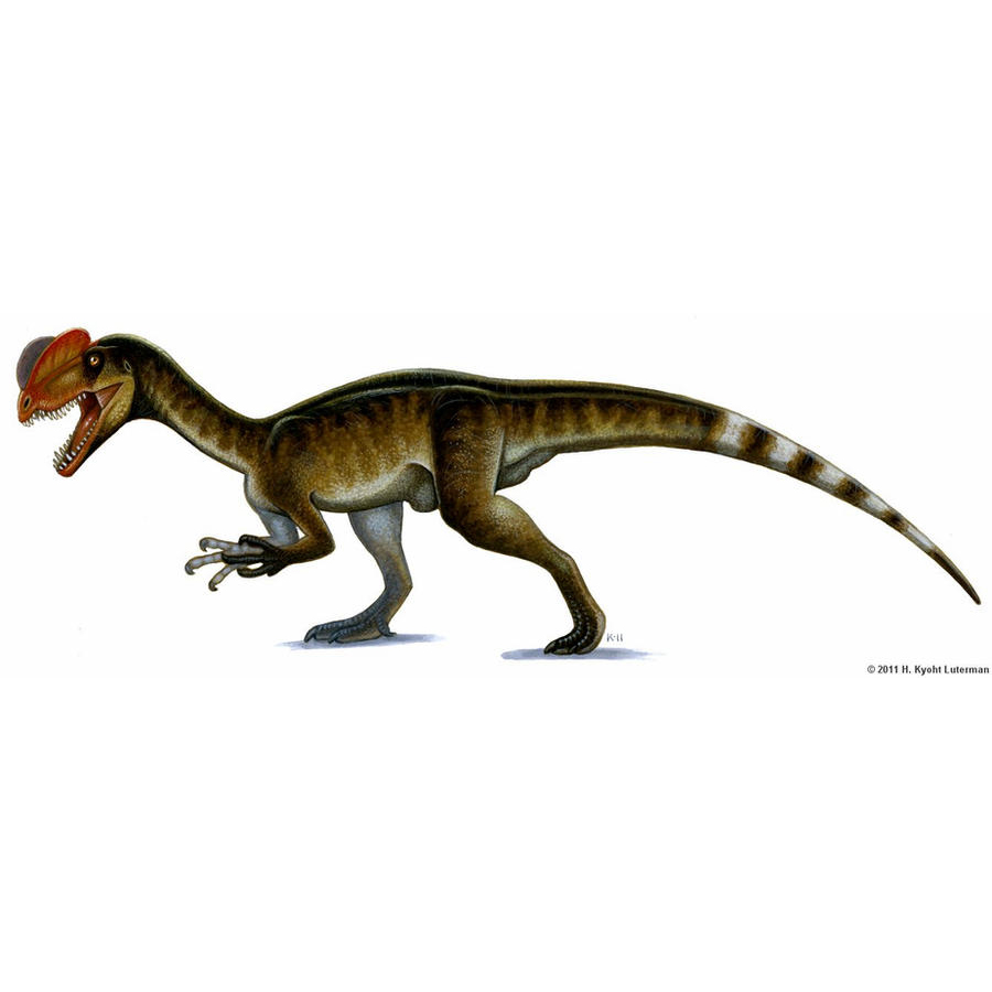 Paleo Bites