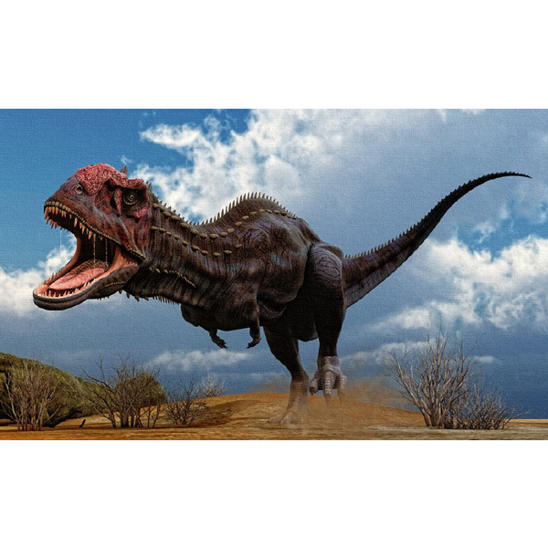 Paleo Bites