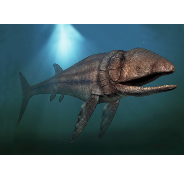 Paleo Bites
