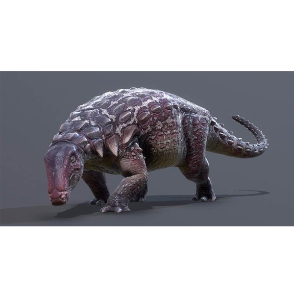 Paleo Bites