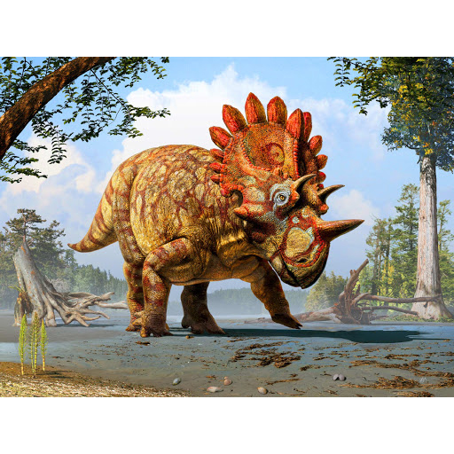 Paleo Bites