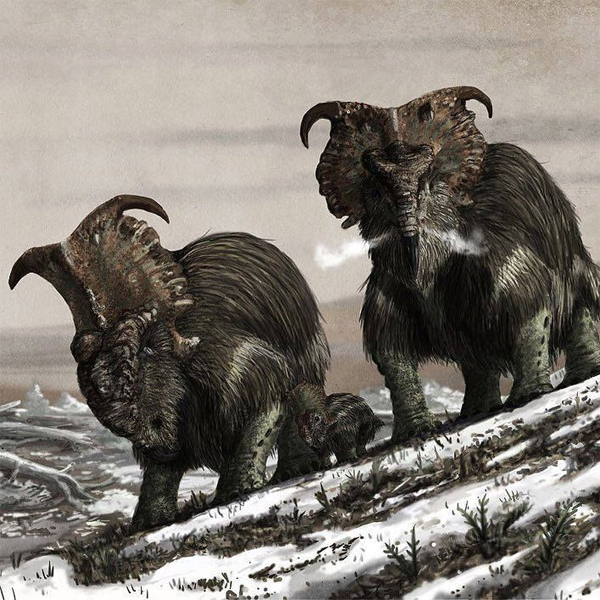 Paleo Bites