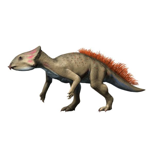 Paleo Bites