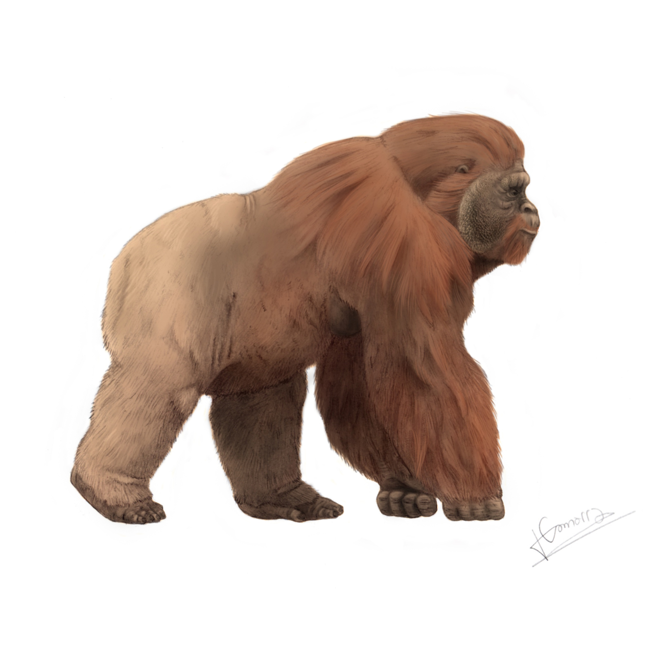 Paleo Bites