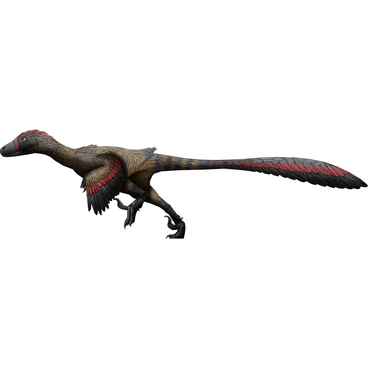 Paleo Bites