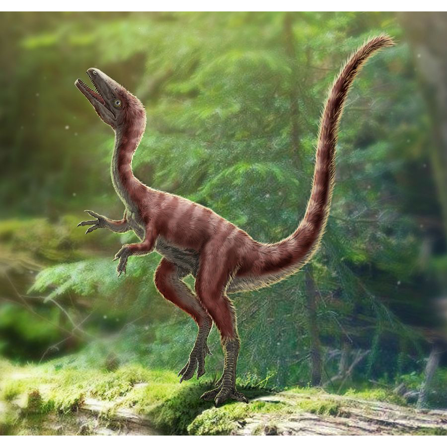 Paleo Bites