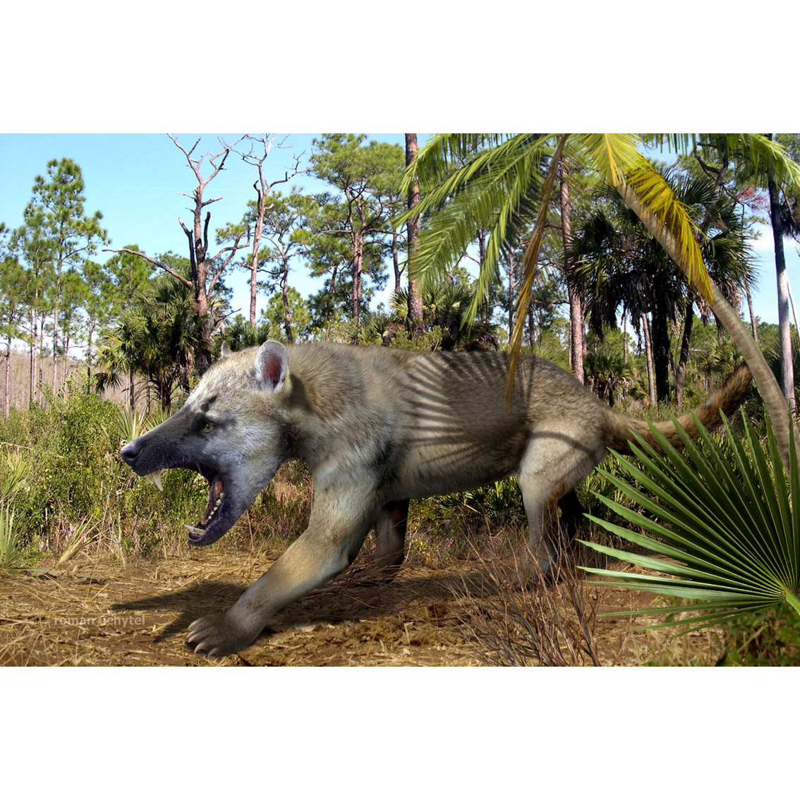 Paleo Bites