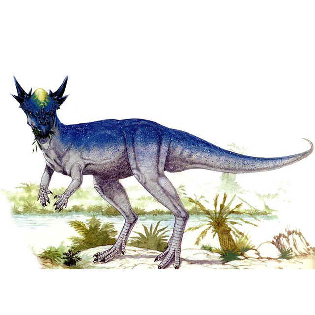 Paleo Bites